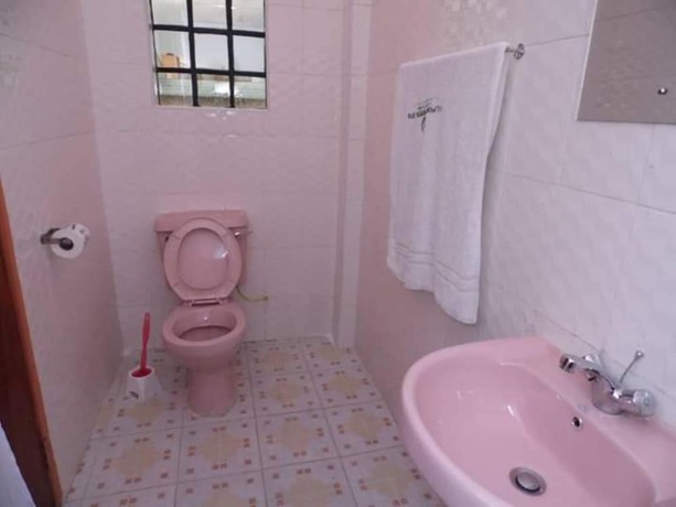 Imagen de la habitación del Hotel Alpine, Nakuru. Foto 8