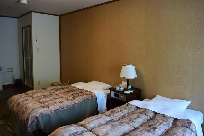 Imagen general del Hotel Alpine Route. Foto 5