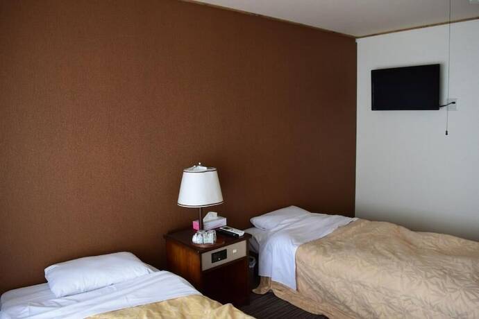 Imagen general del Hotel Alpine Route. Foto 6