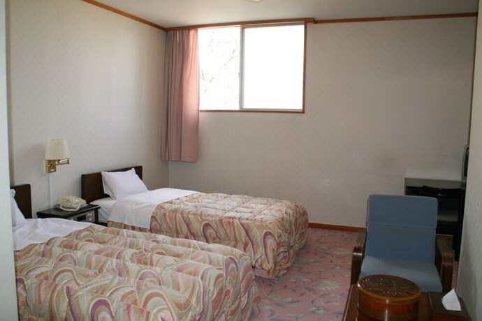 Imagen de la habitación del Hotel Alpine Route. Foto 25