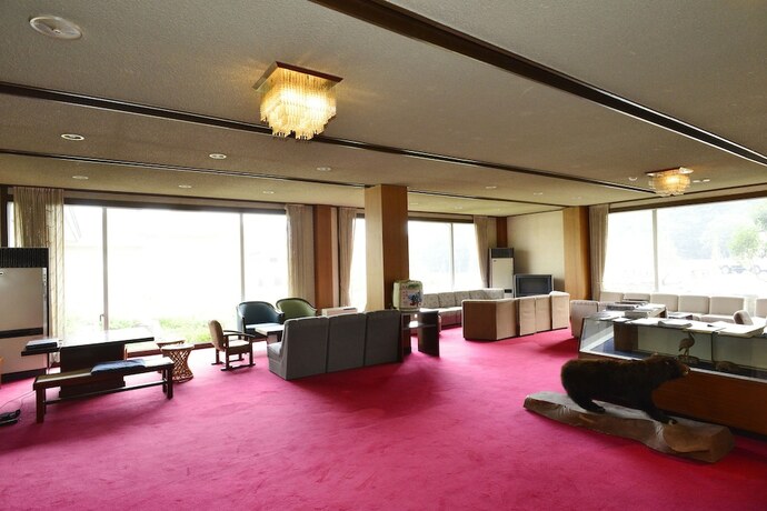 Imagen de los interiores del Hotel Alpine Route. Foto 31