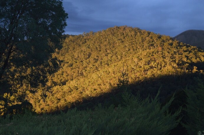 Imagen general del Hotel Alpine Stag Lodge Unit 1. Foto 7