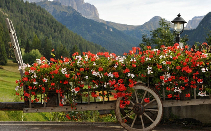 Imagen general del Hotel Alpine Touring. Foto 4