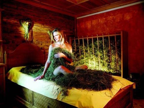 Imagen general del Hotel Alpine Wellnesshotel Karwendel****S. Foto 3