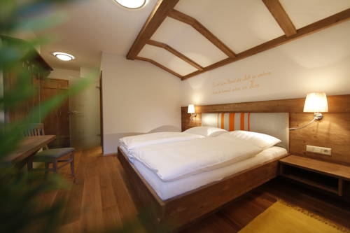 Imagen general del Hotel Alpine-lodge. Foto 8