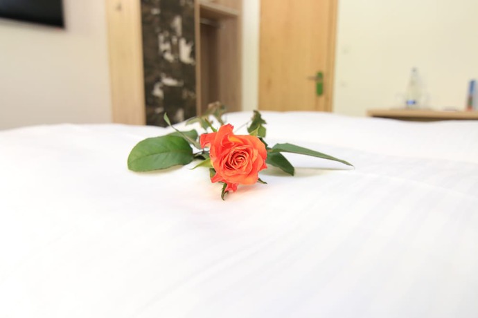 Imagen de la habitación del Hotel Alpinhotel Berchtesgaden. Foto 13