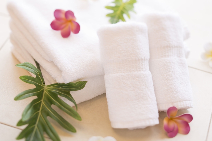 Imagen de la habitación del Hotel Alps. Foto 2