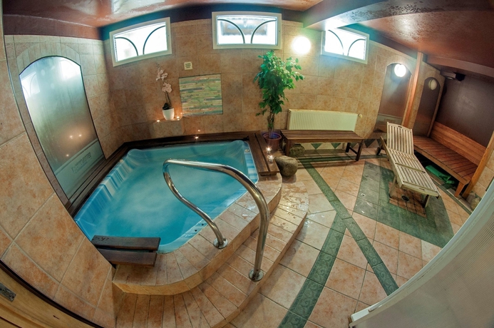 Imagen de los interiores del Hotel Alpsk&yacute;. Foto 13