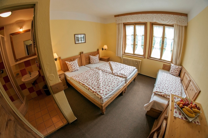 Imagen de la habitación del Hotel Alpsk&yacute;. Foto 9
