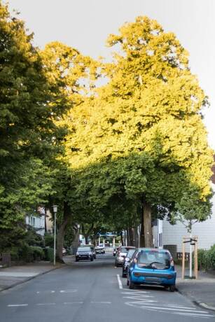 Imagen general del Hotel Alscher. Foto 13