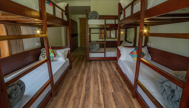 Imagen de la habitación del Hotel Alt Life Manali. Foto 2