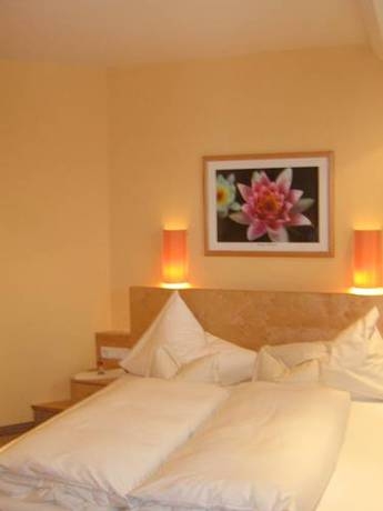 Imagen general del Hotel Alt M&ouml;sern. Foto 21