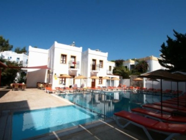 Imagen general del Hotel Alta Park Hotel Gumbet. Foto 8