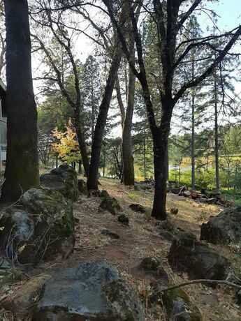 Imagen general del Hotel Alta Sierra Village Inn. Foto 2