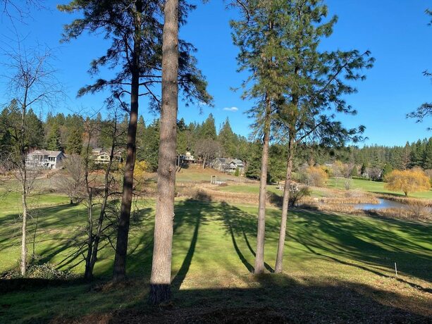 Imagen general del Hotel Alta Sierra Village Inn. Foto 5