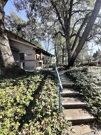 Imagen general del Hotel Alta Sierra Village Inn. Foto 6