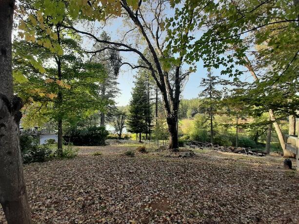 Imagen general del Hotel Alta Sierra Village Inn. Foto 12