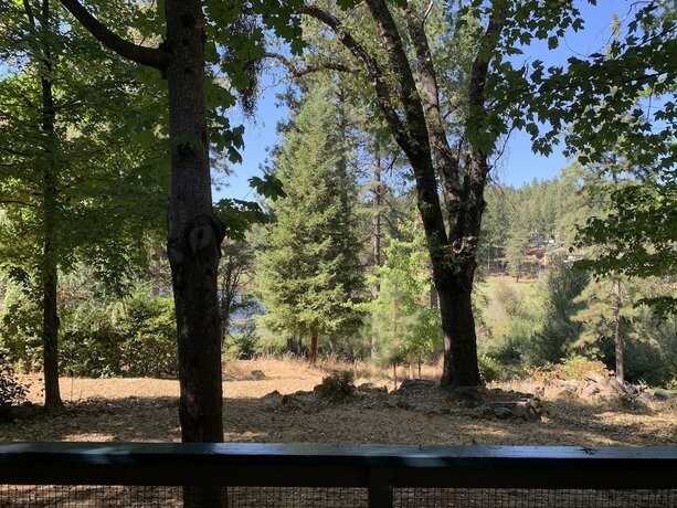 Imagen general del Hotel Alta Sierra Village Inn. Foto 13