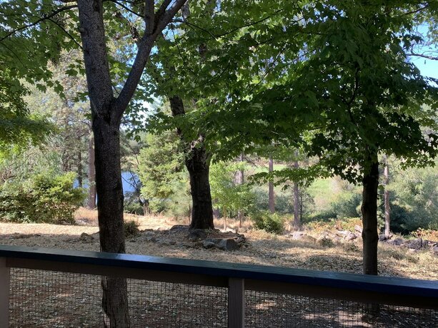 Imagen general del Hotel Alta Sierra Village Inn. Foto 14