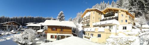 Imagen general del Hotel Alta Vista, Neukirchen am Gro&szlig;venediger. Foto 12