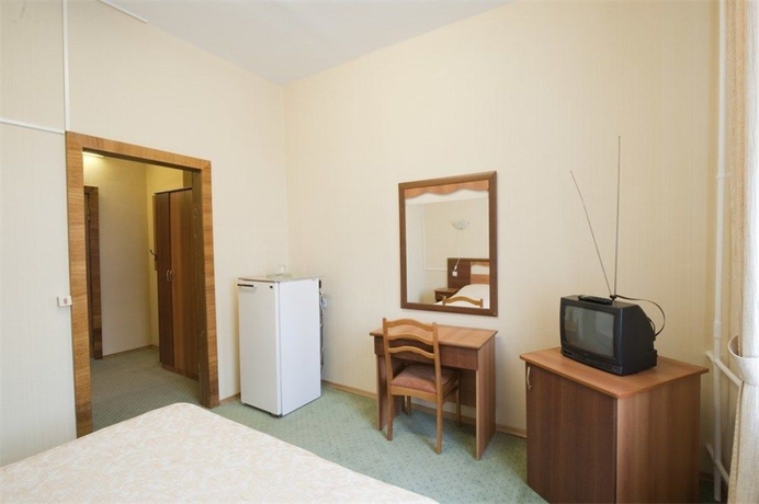 Imagen de la habitación del Hotel Altai. Foto 6
