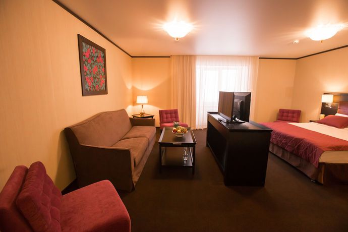 Imagen de la habitación del Hotel Altai Palace. Foto 3