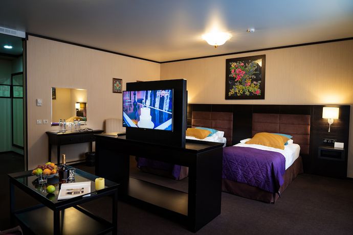 Imagen de la habitación del Hotel Altai Palace. Foto 4