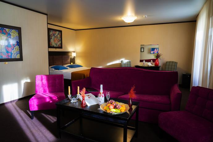 Imagen de la habitación del Hotel Altai Palace. Foto 5