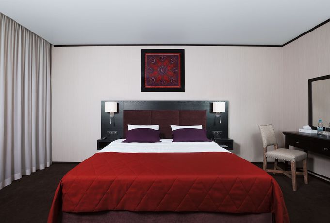 Imagen de la habitación del Hotel Altai Palace. Foto 6