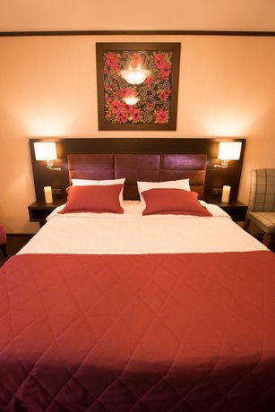 Imagen de la habitación del Hotel Altai Palace. Foto 8