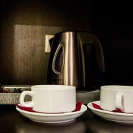 Imagen de la habitación del Hotel Altai Palace. Foto 10