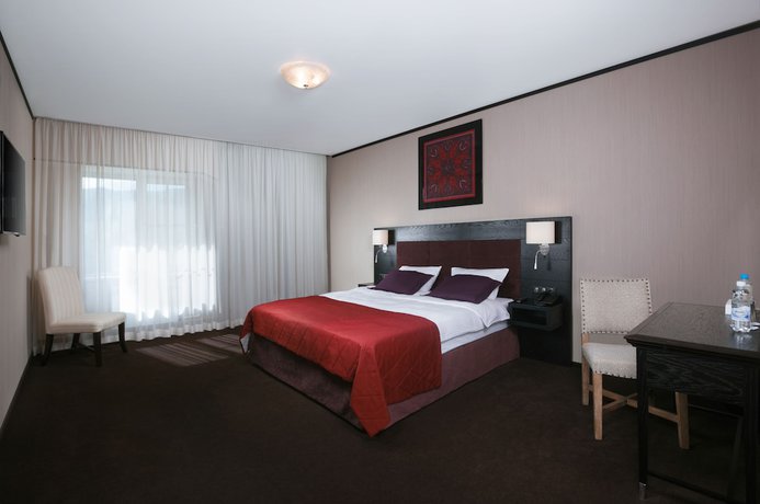 Imagen de la habitación del Hotel Altai Palace. Foto 15