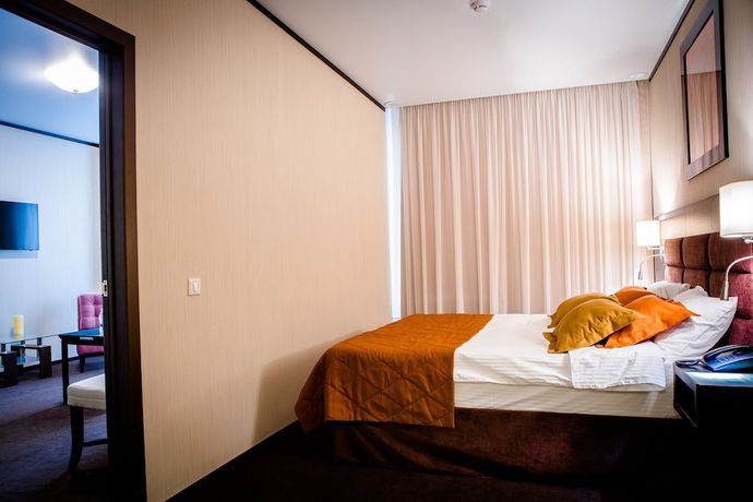 Imagen de la habitación del Hotel Altai Palace. Foto 19