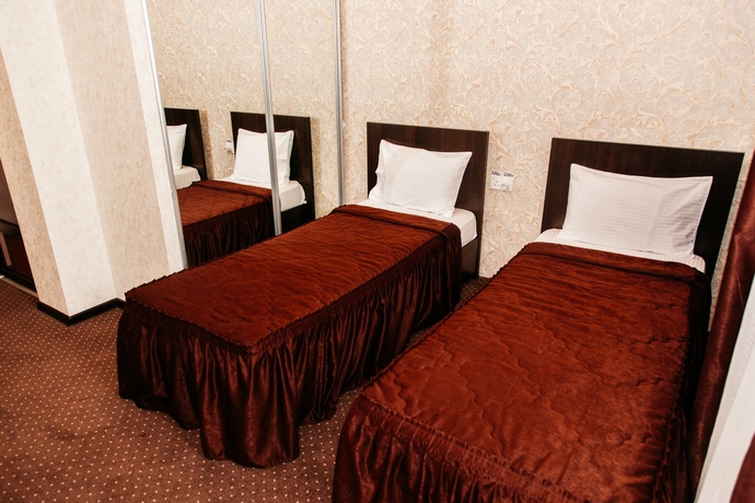 Imagen de la habitación del Hotel Altay. Foto 5