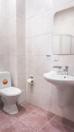 Imagen de la habitación del Hotel Altay. Foto 11