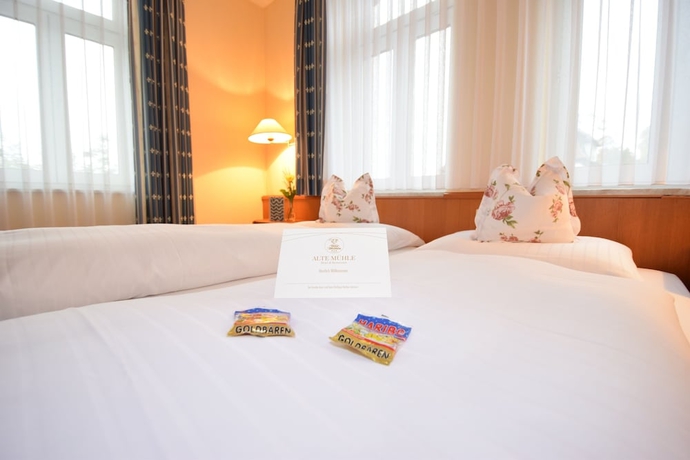 Imagen de la habitación del Hotel Alte M&uuml;hle, Coburgo. Foto 3
