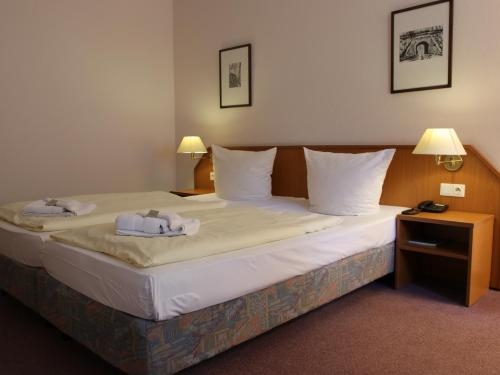 Imagen general del Hotel Alte Mühle. Foto 7