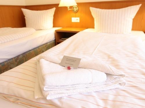 Imagen general del Hotel Alte M&uuml;hle, Rahnsdorf. Foto 5