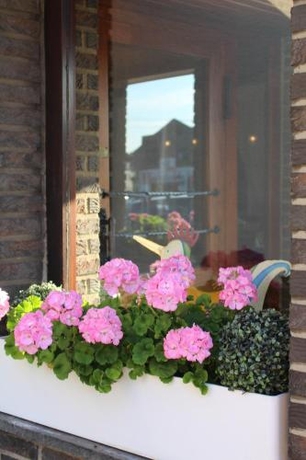 Imagen general del Hotel Alte Post, Krefeld. Foto 6