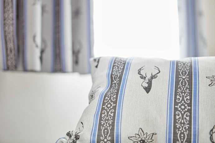 Imagen general del Hotel Alte S&auml;ge Ruhpolding. Foto 2