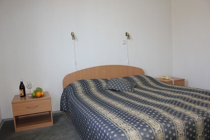Imagen de la habitación del Hotel Altek. Foto 9
