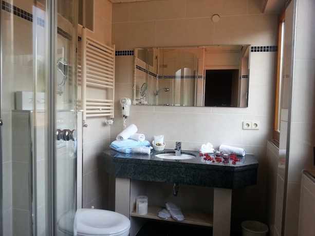 Imagen de la habitación del Hotel Altenberg. Foto 6