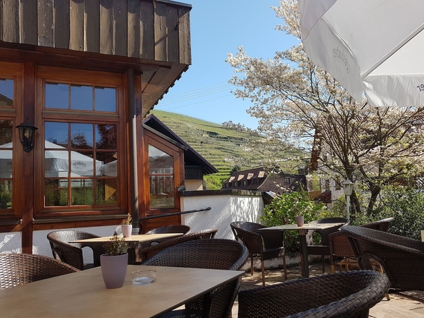 Imagen de los exteriores del Hotel Altenberg. Foto 17