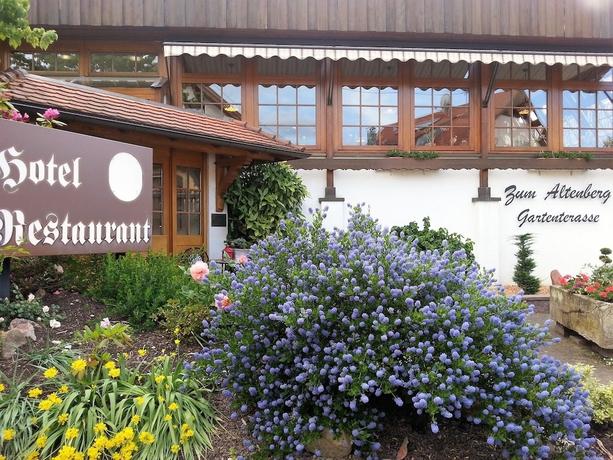 Imagen de los exteriores del Hotel Altenberg. Foto 18