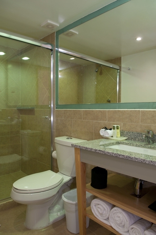 Imagen de la habitación del Hotel Alteza Polanco. Foto 9