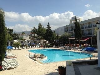 Imagen de la piscina del Hotel Altinkaya Resort. Foto 6