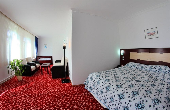 Imagen de la habitación del Hotel Altinoz. Foto 7