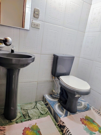 Imagen de la habitación del Hotel Alto Amazonas. Foto 14