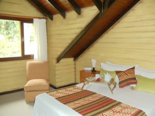 Imagen de la habitación del Hotel Altos Los Pioneros y Spa. Foto 49