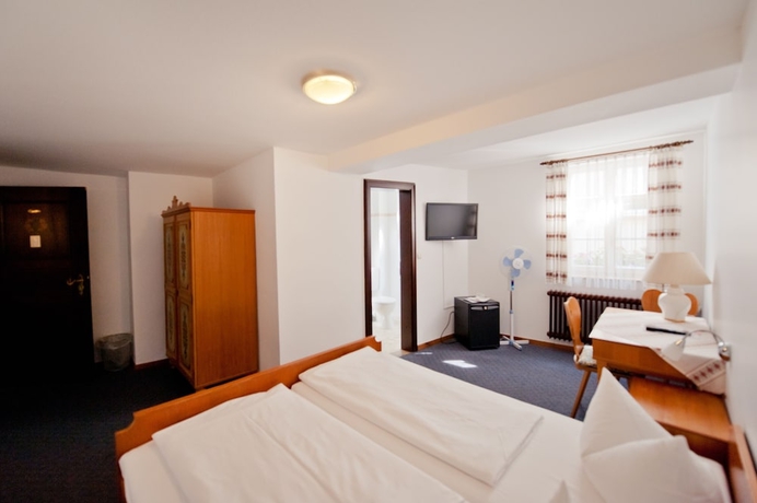 Imagen de la habitación del Hotel Alt-ringlein. Foto 13